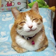 「癒しのコロちゃん」amazonギフト券あたる！「ネココ」癒しの猫時間フォトコンテスト(^・x・^)の投稿画像
