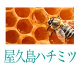 口コミ：まろやか泡体験♪屋久島の天然水と果実から生まれた【屋久島せっけん銀の月】☆の画像（3枚目）