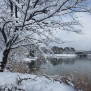 雪の日