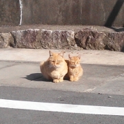 親子でひなたぼっこ