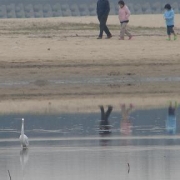 唯一の砂浜