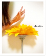 口コミ：毎日*。美脚スリッパのその後。と 黄色の大きなお花だよの画像（2枚目）