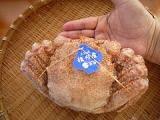 口コミ：最北の海鮮市場『オホーツク海産毛蟹×2尾セット』の画像（11枚目）