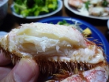 口コミ：最北の海鮮市場『オホーツク海産毛蟹×2尾セット』の画像（2枚目）