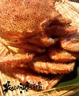 口コミ：オホーツク海産毛蟹でおうちごはんの画像（8枚目）