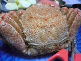 口コミ：濃厚味噌が絶品！！オホーツク海産毛蟹をいただきま～す(笑)の画像（9枚目）