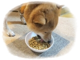 口コミ：「成犬用ドライフード☆プロフェッショナル・バランス」食べてみました♪愛犬が　の画像（1枚目）