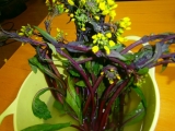 口コミ記事「黒い菜の花とタカナシ乳業ドリンクヨーグルト『おなかへGG！』飲み続けたら」の画像