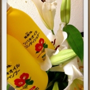 「大島椿！シンボルは黄色に赤い椿だよ！」大島椿　86th　anniversary☆応援してくれるみなさんのおかげです！の投稿画像