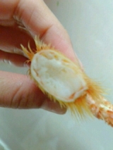 口コミ：北オホーツク海産　チルド毛蟹②の画像（4枚目）