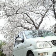 「愛車と桜と」あなたの傑作写真をマグネットにいたします。の投稿画像