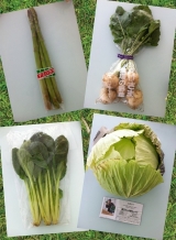 口コミ：春野菜と伝説の生パスタ　×　UFO BOWL　①の画像（2枚目）