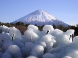 「富士山と松島」の画像（1枚目）