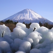 富士山と松島