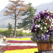 Flower Park