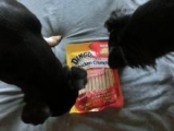 口コミ記事「たっぷりチキンでおいしい！小型～中型犬用おやつ【DINGOチキンクランチ】」の画像