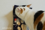 口コミ記事「猫ちゃんのこだわりおやつ、フリーズドライのササミ」の画像
