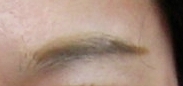 眉と目の間の毛の画像（1枚目）