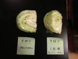 口コミ：【体験記】自分で作れる消臭・除菌・抗菌スプレー【大銀穣】の画像（2枚目）