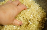 口コミ：自宅で発芽玄米!電気釜でモチモチ♪圧力炊飯器「酵素玄米Pro2」の画像（8枚目）