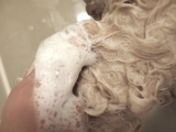 口コミ：クレオの洗髪の画像（8枚目）