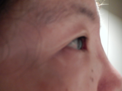インコの睫の画像（1枚目）