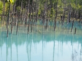 「青い池」の画像（1枚目）