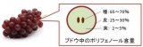 口コミ：砂糖不使用の植物のいいとこどりした酵素ドリンクの画像（4枚目）