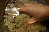 口コミ：酵素玄米が炊ける・熟成できる炊飯器！の画像（12枚目）