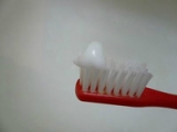口コミ：歯みがき専用塩を50％配合★ソルト（ねりタイプ）で歯みがき～♪の画像（1枚目）