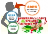 口コミ記事「スッキリ系サプリメントの『快朝酵素』」の画像