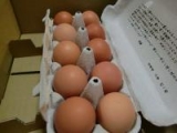 口コミ：高級卵が届きました(*^▽^*)の画像（5枚目）