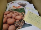 口コミ：高級卵が届きました(*^▽^*)の画像（7枚目）