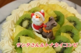 口コミ：クリスマスは自宅でデコレーションケーキを♪Pasco「手作りスポンジ」の画像（4枚目）