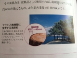 口コミ：☆海岸松の樹皮が成分！ 薬用フラビアローション☆の画像（4枚目）