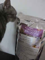 口コミ：猫のエイジングケアおもいやりフード☆モニターの画像（4枚目）