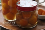 口コミ：風邪予防に金柑はちみつ煮と粉末生姜の画像（4枚目）