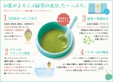 口コミ：KAORI FACE PACK で緑茶の香りに包まれてますの画像（2枚目）