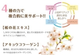 口コミ：透きとおる美しさへ♪ 『桜と白美人』の画像（3枚目）
