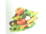 口コミ：【釈由美子さんもご紹介】キレイにダイエットするなら「サラダメント 酵素MAKERハイパーゼリー」の画像（11枚目）