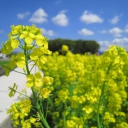 温かい光を感じる季節