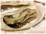口コミ：濃厚でぷりっぷり☆カンカン蒸し牡蠣の画像（3枚目）
