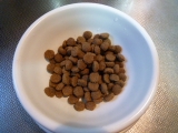 口コミ：【犬の栄養学にに基づいた穀物不使用のプレミアムドッグフード】の画像（6枚目）