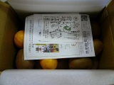 口コミ記事「ふるさと２１☆石綿さんの有機JASキウイフルーツ☆を味わってみました！」の画像