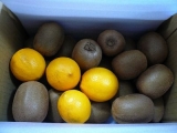 口コミ：ふるさと２１☆石綿さんの有機JASキウイフルーツ☆を味わってみました！の画像（15枚目）