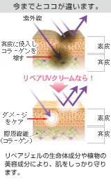 口コミ：リソウコーポレーション　リペアUVクリームの画像（5枚目）