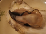 口コミ：サロマの牡蠣が届いたから遊びにおいで～ちまき亭～の画像（4枚目）