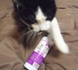 口コミ：【猫ちゃんのおしっこ臭に特化した消臭剤】の画像（4枚目）