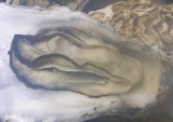 口コミ：カンカン蒸し牡蠣の画像（3枚目）