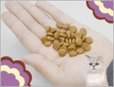 口コミ：猫ちゃんのエイジングケアに特化した　おもいやりフードをキラ君に食べさせましたーの画像（1枚目）